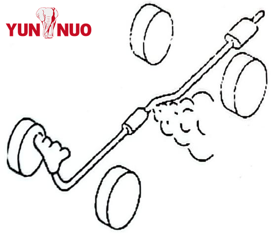 Article 6